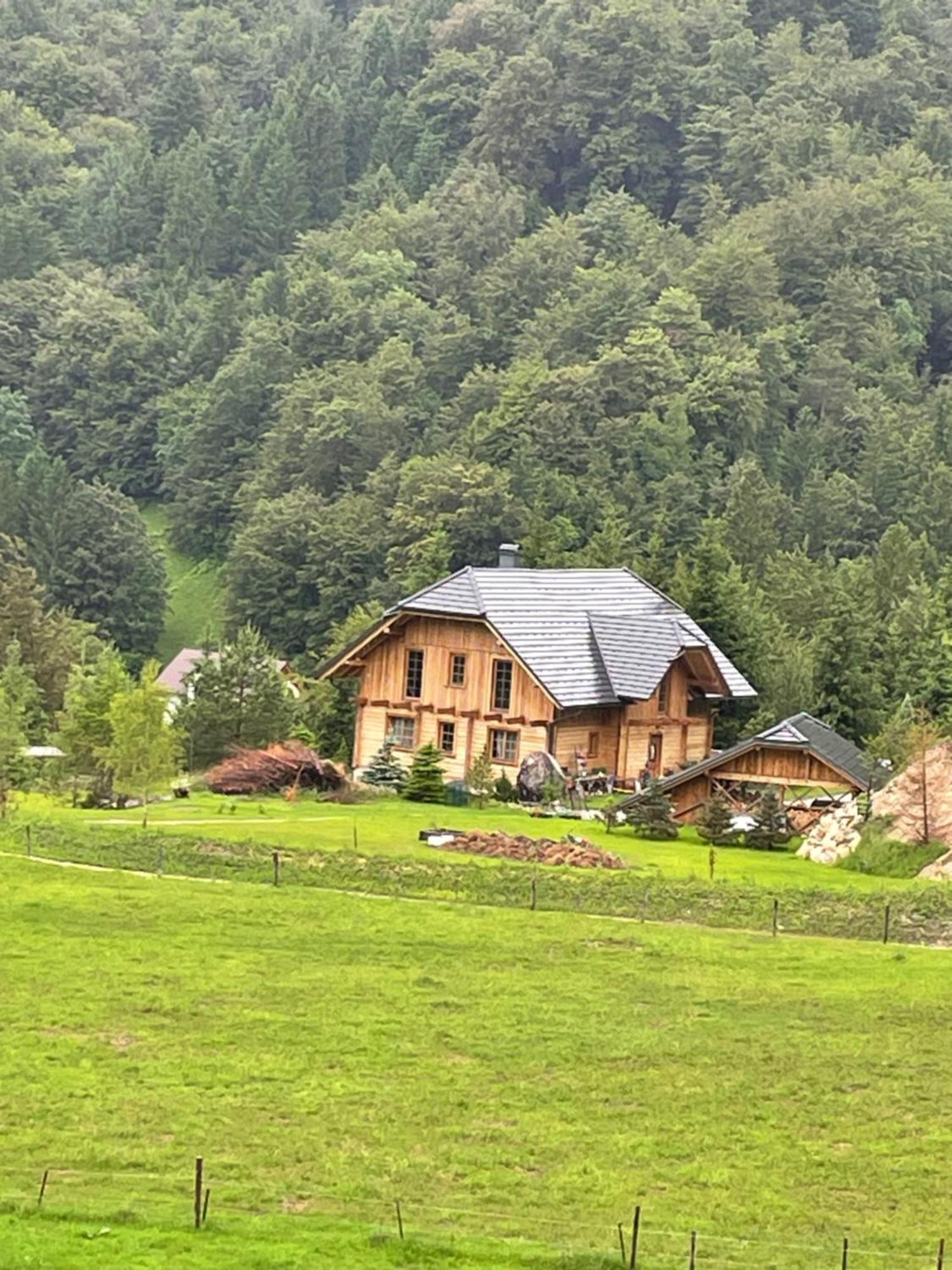 Apartment Pod Skalco Jesenice Exterior foto